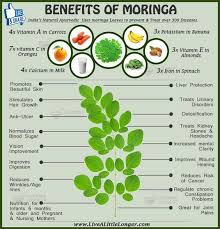 Moringa has many medicinal uses and has been used to treat conditions such arthritis, rheumatism, anemia, cancer, diabetes, epilepsy and stomach complications such as spasms, ulcers, stomach pain and constipation. Malay Organics Malunggay As The Miracle Tree Our World Facebook