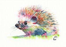 Hedgehog Hedgehog Art Art Animal Paintings