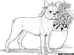 Boston Terrier Coloring Page By Yuckles Dog Coloring Page Dog Coloring Book Horse Coloring Pages