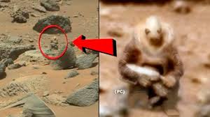 And remember that we don't provide rules for everyone to apply, but we offer solutions to problems that happen. 5 ØµÙØ± ÙÙØ§Ø¦ÙØ§Øª ØºØ±ÙØ¨Ø© ØªÙ Ø¥ÙØªÙØ§Ø·ÙØ§ Ø¹ÙÙ ÙÙÙØ¨ Ø§ÙÙØ±ÙØ® Youtube