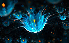 Discover free hd flower png images. Dark Flower Wallpapers 72 Background Pictures