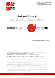 Image result for Dactyladenia