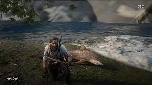 Shark Found In Guarma Reddeadredemption2