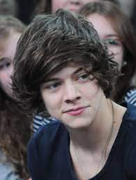 I've cut men's hair before and it looks really. One Direction Hair Transformation One Direction Hair