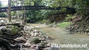 Maybe you would like to learn more about one of these? Rumah Kebun Hulu Langat Farizal 2 0