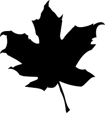Ramai yang tidak tahu bahawa musim luruh juga merupakan antara musim yang paling cantik dengan pelbagai jenis warna daun akan berguguran menjadikan. Svg Pokok Jatuh Canada Sifat Imej Ikon Svg Percuma Svg Silh