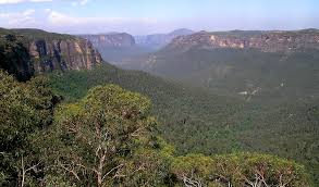 Blue Mountains, New South Wales - Australian Geographic