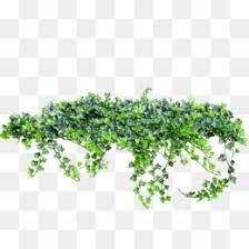 Creeper Png Creeper Gonna Creep Creeper Wallpaper Cleanpng Kisspng Discover and download free creeper png images on pngitem. creeper png creeper gonna creep