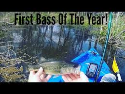 Colourful and natural, they provide an impressive visual whilst requiring a less. Freshwater Fishing Vs Saltwater Which Is Harder Youtube
