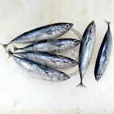 Feel free to ask for translations; Ikan Kayu In English