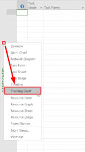About The Tracking Gantt View The Project Corner