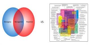 monogamish a middle path between monogamy polyamory the