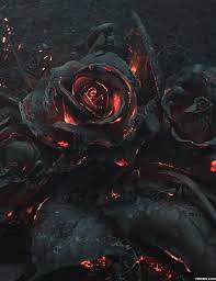 A Rose That Was Caught In A Forest Fire Art Beautiful Art Cool Art