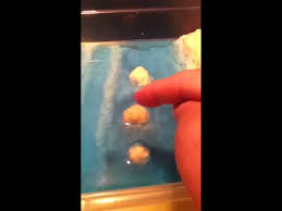 Shop online for all your home improvement needs: Ocean Floor Model Youtube