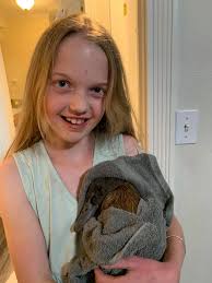 Raccoon problems in 6 days