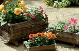 Resultado de imagen de flores para jardin pequeño