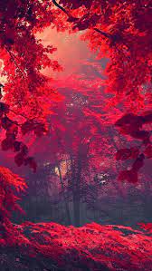 Pin By Sham Hussain On Tenido Beautiful Scenery Photography Beautiful Nature Wallpaper Aesthetic Photography Nature