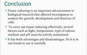 This controversy is often related to abortion politics and to human cloning. The Conclusion Of Animal Tissues Brainly In