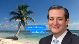 Ted Cruz Goes To Cancun Martin Scorsese Vs Streaming And This Week S Other Best Memes Ranked Digg
