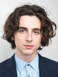 How To Get Timothée Chalamet's Glorious Hair