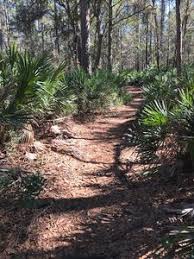 10931 hood road south jacksonville florida united states 32257. Losco Regional Park Trails Hiking Trail Fruit Cove Florida