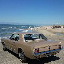 Image result for Champagne Beige 1965 Mustang