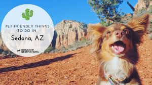 Grievance procedure under the americans with disabilities act. Memorable And Pet Friendly Things To Do In Sedona Az
