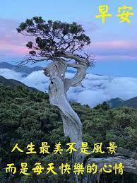pin by hsm on 早安問候語 good morning wishes good morning greetings morning greeting