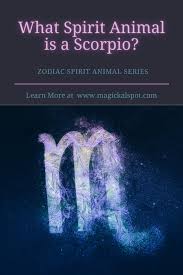 What Is Scorpio S Spirit Animal Zodiac Spirit Animals Series In 2020 Spirit Animals Series Spirit Animal Spirit