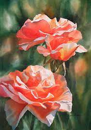 Sharon Freeman Watercolor Floral Watercolor Paintings Rose Art Rose Painting