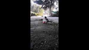 Cara menyertai program penempatan semula pekerja. Program Penempatan Pekerjaan Semula Perkeso Eis Perkeso Youtube