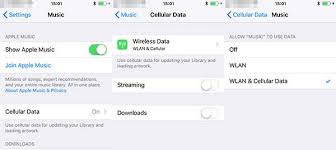 Solved Apple Music Won T Download Songs On Iphone
