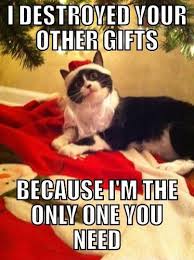 Top 10 Cat Mas Holiday Memes Funny Cats Christmas Cats Funny Cat Pictures