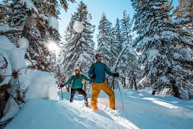 Bay Area Couple Drives 1,000 Miles To Avoid Snow, Get Home From Reno - The  Press Democrat