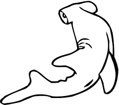 Perfect for a classroom activity, this printable hammerhead picture can be used to teach students how to draw. Hammerhead Shark Coloring Page Animals Town Free Hammerhead Shark Color Sheet