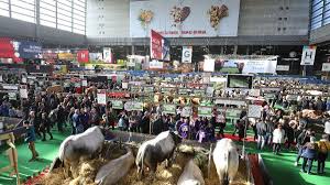 We did not find results for: Evenement 360 Agriculteurs De Chez Nous Au Salon International De L Agriculture Le Journal De L Eco