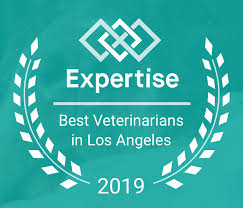 I chose to do home pet euthanasia because i wanted to help pets and their families during a really difficult time. Hearts Halos By Choice Veterinary Care In Home Pet Euthanasia Facebook