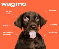 Pet insurance plans are sold and. Wagmo Pet Insurance 2021 Compare Quotes