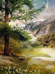 Robot Check Tree Photography Natural Scenery Beautiful Nature