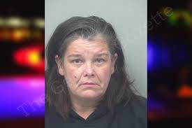 Tammy Keown — Gwinnett County Jail Bookings