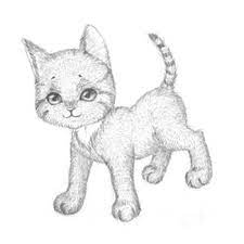 kak narisovat koshku poisk v google cat drawing tutorial drawings animal drawings