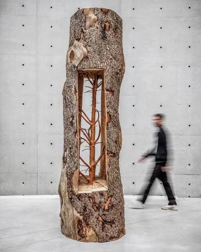 Work by Giuseppe Penone
