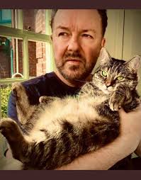 Our boy has a name! One of my virtual students, Leah, noticed his vivid  striping and suggested Pickett, like the fence but with two T's like  Pickett the Bowtruckle. Since we already