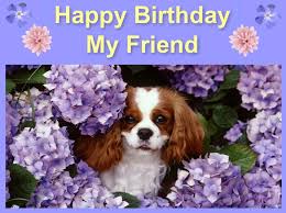 [Image: images?q=tbn:ANd9GcQhco18Qe157f73GZFTW2c...ownYx4w6mS]