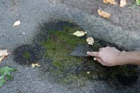 It gives your driveway a nice black coating, protecting it from moisture problems. How To Fix Cracks In A Driveway And Apply A Coat Of Sealant How Tos Diy