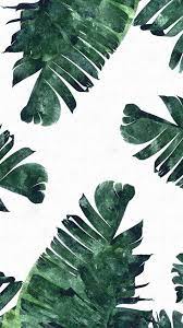Banana Leaves Watercolor Painting Tropical Botanical Jungle Nature Minimal Vibrant Modern Bohemian Illustration Iphone Case By 83oranges Iphone Wallpaper Tropical Leaves Wallpaper Iphone Tropical Wallpaper