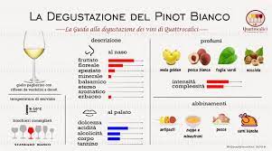 Pin Su Vino