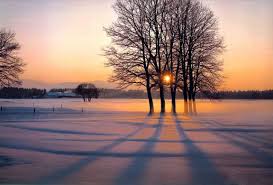 You can also upload and share your favorite winter screensavers and wallpapers. Through The Tree Winter Wallpaper Winter Wallpaper Desktop Winter Nature