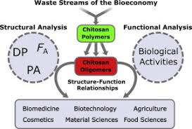 Have something nice to say about bruno allan? Patterns Matter Part 2 Chitosan Oligomers With Defined Patterns Of Acetylation Sciencedirect