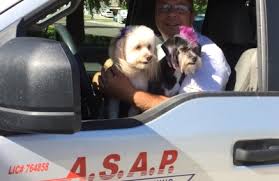 Maybe you would like to learn more about one of these? Asap Heating Air Conditioning 1025 Lone Palm Ave 1j Modesto Ca 95351 Yp Com